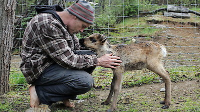 Dr. Oakley, Yukon Vet Season 5 Episode 4
