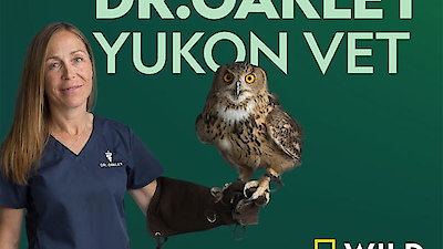 Dr. Oakley, Yukon Vet Season 6 Episode 4