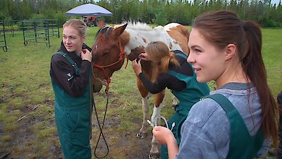 Dr. Oakley, Yukon Vet Season 8 Episode 2