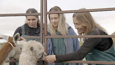 Dr. Oakley, Yukon Vet Season 9 Episode 7