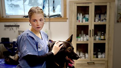 Watch Dr. Oakley, Yukon Vet Season 10 Episode 8 - Pups in the Oven Online  Now