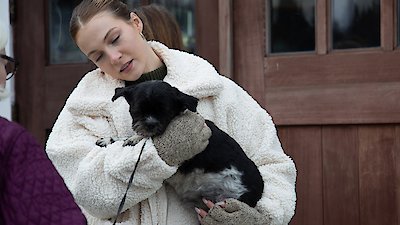 Dr. Oakley, Yukon Vet Season 11 Episode 4