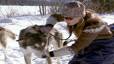 Dr. Oakley, Yukon Vet Season 2 Episode 1
