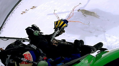 Dr. Oakley, Yukon Vet Season 2 Episode 2