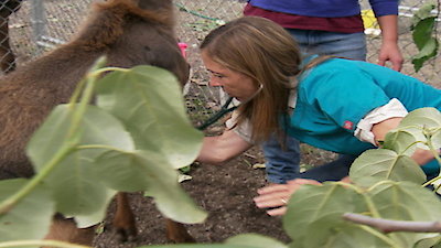 Dr. Oakley, Yukon Vet Season 2 Episode 9