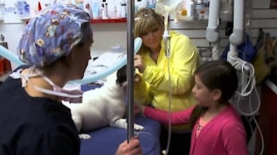 Dr. Oakley, Yukon Vet Season 3 Episode 3