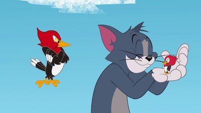 The Tom & Jerry Show Season 6 Episode 1
