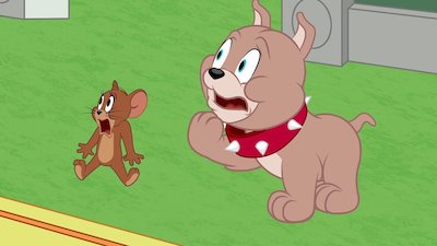 The Tom & Jerry Show Season 6 Episode 9