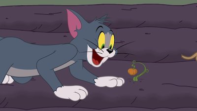 The Tom & Jerry Show Season 7 Episode 6