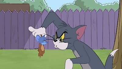 The Tom & Jerry Show Season 11 Episode 12