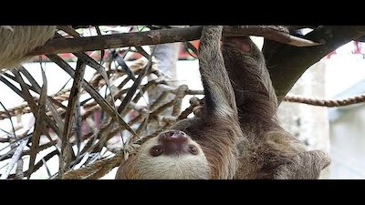 House Hunters International Season 126 Episode 6