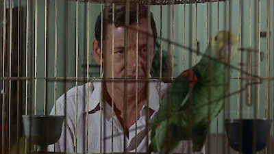 The Odd Couple (1970) Season 1 Episode 10