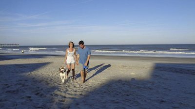 House Hunters Season 175 Episode 175