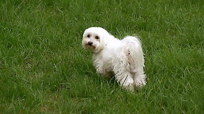 House Hunters Season 106 Episode 42