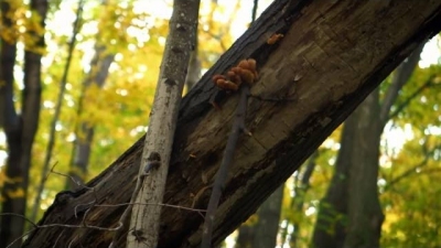 Filthy Riches Season 1 Episode 4