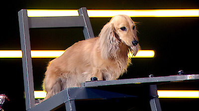 Masters of Illusion Season 11 Episode 7