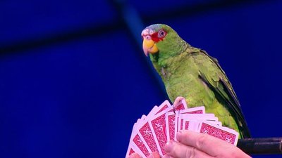 Masters of Illusion Season 1 Episode 11