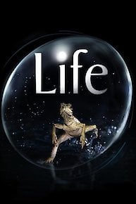 Life UK