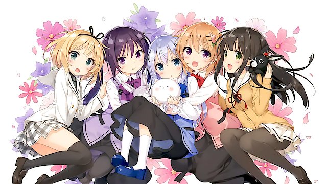 Watch anime together rabbit sale