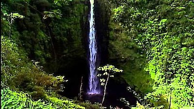 Mayo Clinic Wellness Solutions for Arthritis Season 1 Episode 1