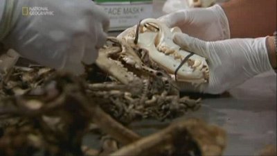 Is It Real? Season 2 Episode 9