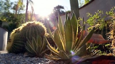 Little Women: LA Season 3 Episode 10