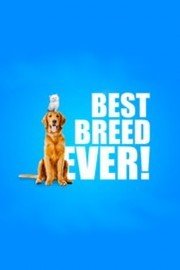 Best Breed Ever!