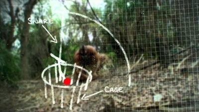 Marooned Season 1 Episode 1