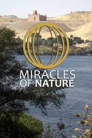 Miracles of Nature