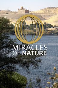 Miracles of Nature