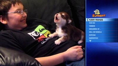 truTV Top Funniest Season 1 Episode 3