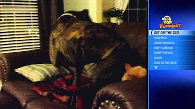 truTV Top Funniest Season 1 Episode 10