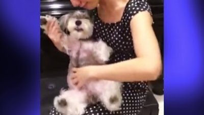 truTV Top Funniest Season 3 Episode 12