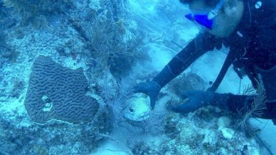 Fish Tank Kings Season 2 Episode 7