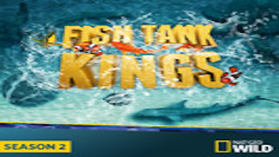 Fish Tank Kings Season 3 Episode 7