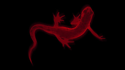 Salamander Season 1 Episode 3