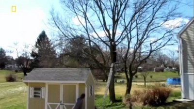 Science of Stupid Season 1 Episode 3