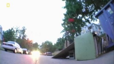 Science of Stupid Season 1 Episode 5