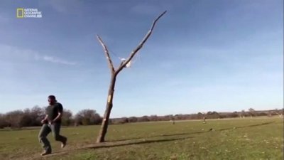 Science of Stupid Season 1 Episode 8