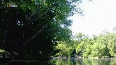 Science of Stupid Season 1 Episode 9