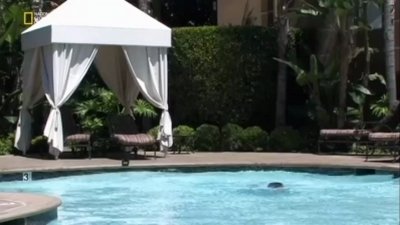 Science of Stupid Season 1 Episode 11