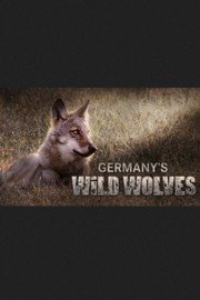 Germany's Wild Wolves - As They Really Are