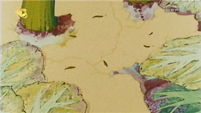 Maya The Bee Season 2 Episode 19