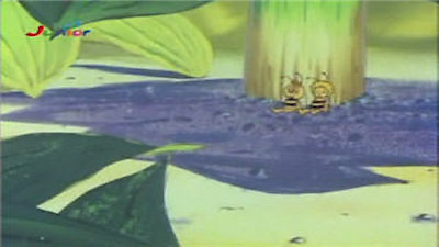 Maya The Bee Season 2 Episode 39
