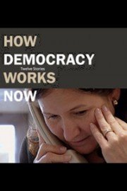 How Democracy Works Now