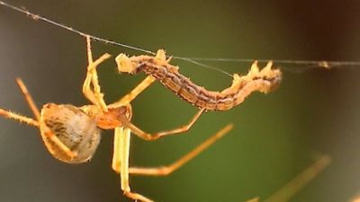 Animals Like Us Season 1 Episode 10