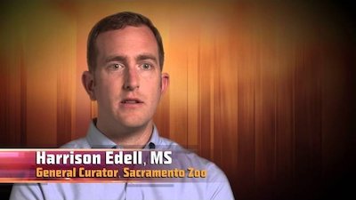 Animals Gone Wild Season 1 Episode 3