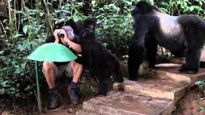 Animals Gone Wild Season 2 Episode 5