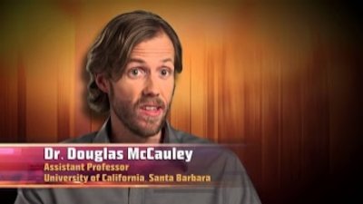 Animals Gone Wild Season 2 Episode 9