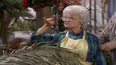 The Golden Girls Season 1 Episode 24